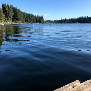 Meet your Posher, Ahmad